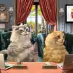 Top 5 Funny Social Media Campaigns in India