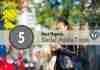 Top 5 Best Organic Social Media Tools best social media organic tools