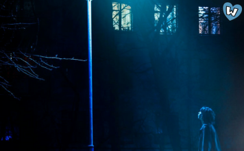 Bajaj Electricals Ad Campaign Review: Magic of Light. Bajaj whizsky