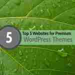 Top 5 Websites for Premium WordPress Themes