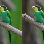 TOP 10 Best FREE Online Image Compression & Optimizer Tools