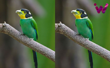 TOP 10 Best FREE Online Image Compression & Optimizer Tools