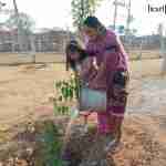 Celebrate a Green Holi with the PeaceTrees campaign by Heartfulness