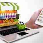 Case Study on the Indian Online Grocery Ecosystem