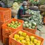 BigBasket Became India’s First Grocery Online Store To Join Unicorn Club Bigbasket enter into the unicorn club with $150 million fundings