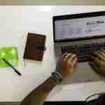 Chimp&z Inc: We Don’t Whisper, We Stay Free chimp