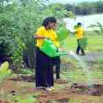 Sula Vineyards is on a mission to turn acres into forests