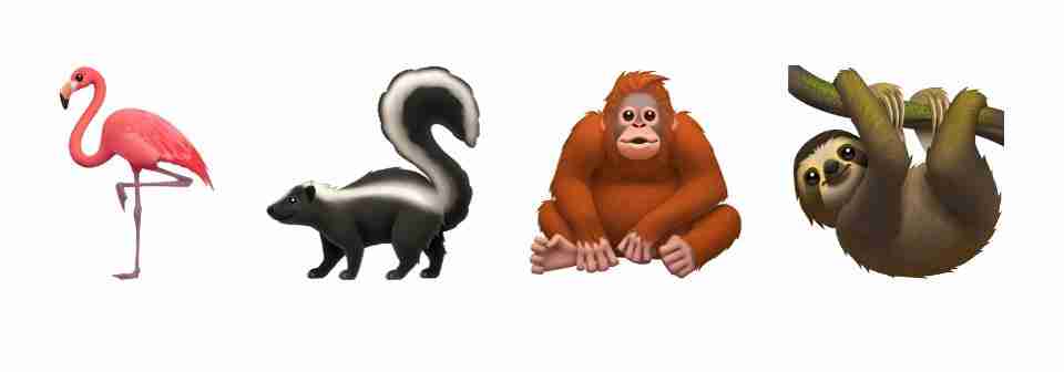 Animals