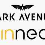Kinnect wins Park Avenue’s digital mandate Park Avenue