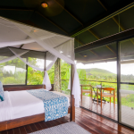 Sula Vineyards: The Pioneers of Sustainable Wine Tourism in the country sula vineyard