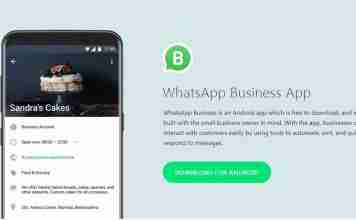 How To Utilize WhatsApp Opt-In Strategies For Your Business WhatsApp Business