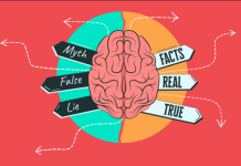 5 Content Marketing Myths That Holds You Back