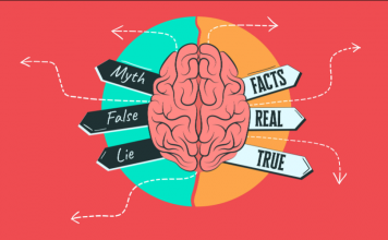 5 Content Marketing Myths That Holds You Back