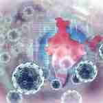 Corona Virus Trade Impact Estimated to be $348 Million in India