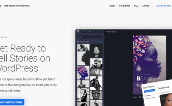 Google’s Web Stories WordPress Plugin to Improve Website Traffic Google-Web-Stories