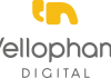 Yellophant Digital Wins Digital Mandate for Siyaram’s Cadini Yellophant