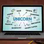 Top Unicorn Start-Ups In India unicorn start-ups